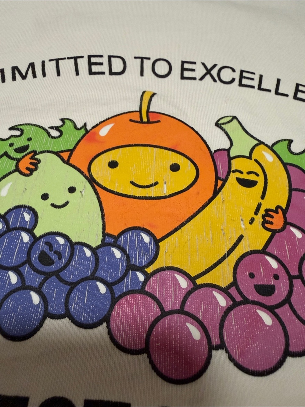 Authentic VETEMENTS "Committed to Excellence" Cutest of the Fruits Crop Top O/S - Picture 7 of 9